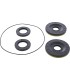 DIFFERENTIAL SEAL ONLY KIT REA
