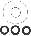 DIFFERENTIAL SEAL ONLY KIT REA