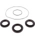 DIFFERENTIAL SEAL ONLY KIT REA