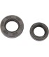 CRANKSEAL SET CR80/85