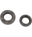 CRANKSEAL SET CR80/85