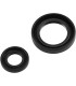 CRANKSEAL SET CR250 92-07