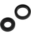 CRANKSEAL SET YZ125 01-04