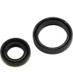 CRANKSEAL SET RM80/85/125