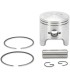 PISTON ASSY ARCTIC STD.