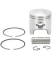 PISTON ASSY ARCTIC STD.