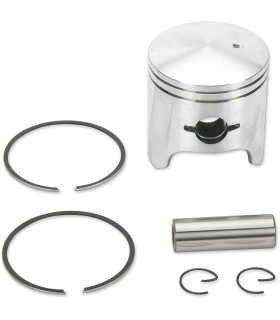 PISTON ASSY ARCTIC STD.