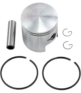 PISTON ASSY ARCTIC STD
