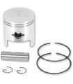 PISTON ASSY ARCTIC STD