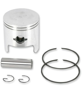 PISTON ASSY ARCTIC STD