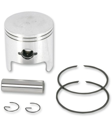 PISTON ASSY ARCTIC STD