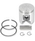 PISTON ASSY. POLARIS STD