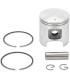 PISTON ASSY POLARIS STD.
