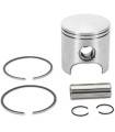 PISTON ASSY POLARIS STD.