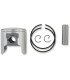 PISTON ASSY ROTAX STD