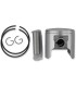 PISTON ASSY ROTAX +020