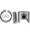 PISTON ASSY ROTAX +020