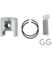 PISTON ASSY ROTAX STD