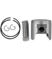 PISTON ASSY ROTAX +020