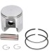 PISTON ASSY ROTAX STD