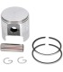 PISTON ASSY ROTAX +020