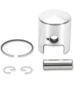 PISTON ASSY ROTAX STD