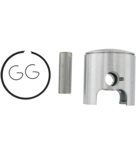 PISTON ASSY ROTAX +020