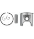 PISTON ASSY ROTAX STD