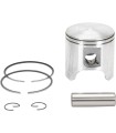 PISTON ASSY ROTAX STD