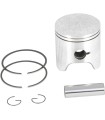 PISTON ASSY. ROTAX +.020