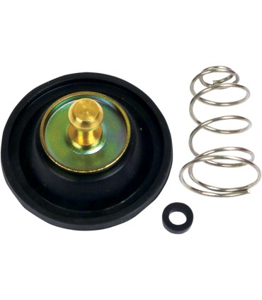 CARB AIR CUTOFF VALVE SET