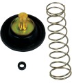 ENSEMBLE DE SOUPAPE DE COUPURE D'AIR DE CARBURANT