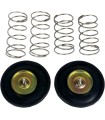 CARB AIR CUTOFF VALVE SET
