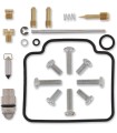REPAIR KIT CARB POL
