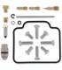 REPAIR KIT CARB POL