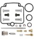 REPAIR KIT CARB POL