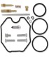 REPAIR KIT CARB POL