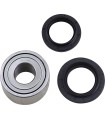 BEARING RR WHL YAM