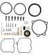 CARB KIT HARLEY 883