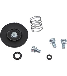 REBUILD KT ACCEL PUMP