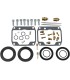 CARB REBUILD KIT POLARIS