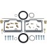 CARB REBUILD KIT POLARIS
