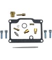 CARB REBUILD KIT ART CAT