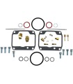 CARB REBUILD KIT ART CAT