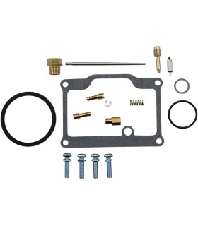 CARB REBUILD KIT ART CAT