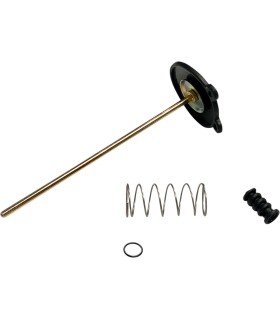 PUMP ACCEL 16021-393-014