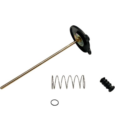 PUMP ACCEL 16021-393-014