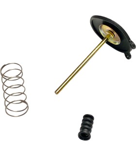 PUMP ACCEL 16021-460-771