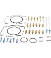 CARB REBUILD KIT