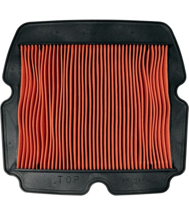 AIR FILTER HON7210-MCAIR 003